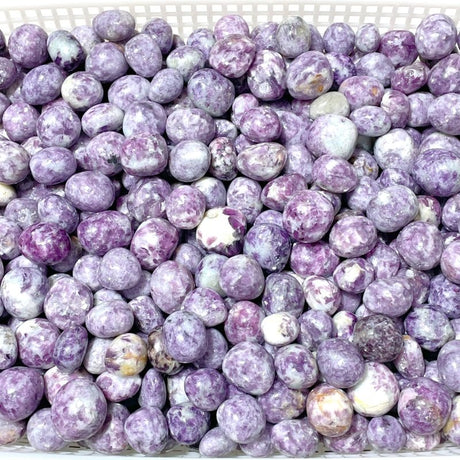 Natural Spark Lepidolite Tumbled Wholesale - Wholesale Crystals