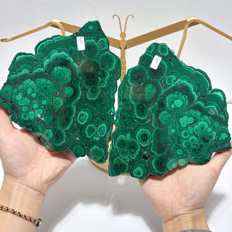 Polished Malachite Raw Slab Butterfly Wing With Stand (#9) - Wholesale Crystals