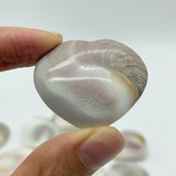 Polished Shell Fossil Heart Wholesale -Wholesale Crystals