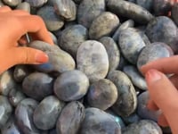 Blue&Yellow Labradorite Palm Wholesale -Wholesale Crystals