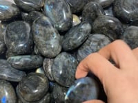 Normal Quality Labradorite Palm Closeout