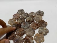 21 Pieces Beautiful Moonstone Mixed Sunstone Flower Carving