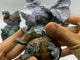 6 Pieces Large Ocean Jasper Elephant Carving