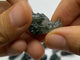 Moss Agate Mini Dragon Head Carving Wholesale -Wholesale Crystals