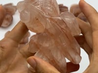 7 Pieces Fire Quartz GoldFish Carving