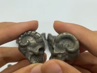 Pyrite Shofar Skull Horned Devil Carving Wholesale