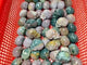 Ocean Jasper Skull Carving Wholesale -Wholesale Crystals