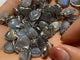 Mini Labradorite Heart Pendant Wholesale