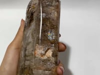 Skeletal Crystal Garden Quartz Mixed Mica High Grade Crystal Point For Collection