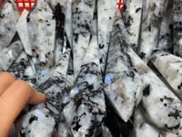 Beautiful India Moonstone Large Point Magic Wand Scepter Wholesale -Wholesale Crystals