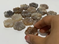 18 Pieces Moonstone Mixed Sunstone Flower Carving