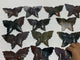 13 Pieces Colourful Ocean Jasper Large Butterfly Carving