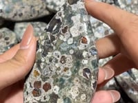 Rain Forest Jasper Arrow Head Shape Wholesale