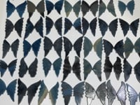 42 Pairs Trolleite Butterfly Carving (A5BTF)