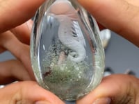 12 Pieces Beautiful Seahorse Garden Quartz Inner Scene Carving