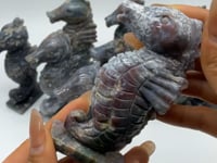 10 Pieces Cute Ocean Jasper Seahorse Carving