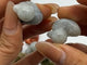 3 Types Duck Carving Wholesale Red Jasper Labradorite -Wholesale Crystals