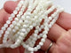 White Mother of Pearl Mop Shell Round Shells Bracelet Wholesale