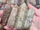 Thousand Layer Garden Quartz Tower Points Wholesale