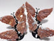 4 Pairs Natural Pink Agate Butterfly Wing Crystal Carving With Stand