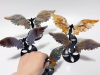 5 Pairs Beautiful Angel Wing With Stand Crazy Agate Golden Hematoid Quartz
