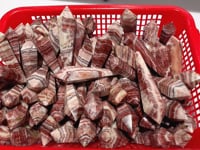 Dali Jasper Magic Scepter Wand Crystal Wholesale