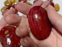 55 Pieces Mookaite Stone Palm