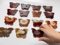 16 Pieces Carnelian Geode Druzy Butterfly Carving