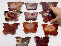 11 Pieces Carnelian Geode Druzy Butterfly Carving