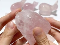 8 Pieces Beautiful  Rose Quartz Sea Animals Carving