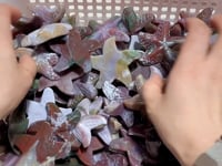 Beautiful Ocean Jasper Starfish Wholesale