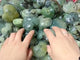 Prehnite Stone Heart Crystal Wholesale