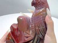 Beautiful Large Ocean Jasper Parrot Carving