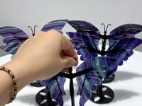 5 Pairs Fluorite Butterfly Carving With Stand