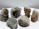 6 Pieces Cute Clear Quartz Cluster Animal Carving
