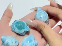 4 Pieces Beautiful Larimar Turtle Carving