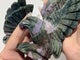 2 Pieces Ocean Jasper Eagle Carving