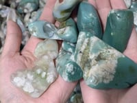 Polished Green Sakura Flower Agate Free Form Mixed Size Wholesale