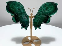 Malachite Butterfly Wing Crystal Carving With Stand