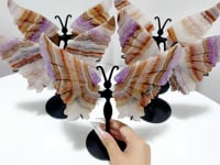 5 Pairs Beautiful Amethyst Mixed Stripe Agate Butterfly Wing Carving With Stand