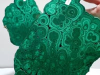 Large Polished Malachite Raw Slab Butterfly Wing With Stand (#2)