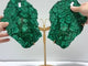 Large Polished Malachite Raw Slab Butterfly Wing With Stand (#4)