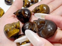 Tiger Eye Sleeping Cat Carving Wholesale