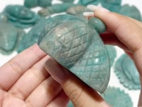 19 Pieces Beautiful Amazonite Sea Animal Carving