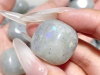 Light Color Labradorite Tumbled Wholesale