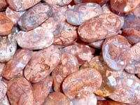 Beautiful Pink Agate Palm Wholesale