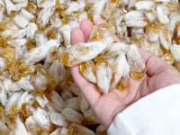 Machine Polished Heat Treatment Citrine Point Wholesale