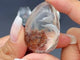 4 Pieces Dolphin Garden Quartz Inner Scene Carving