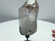 Rutile Mixed Garden Quartz Raw Bottom Point With Stand