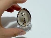 Unique Clear Rutile Mixed Garden Quartz Crystal